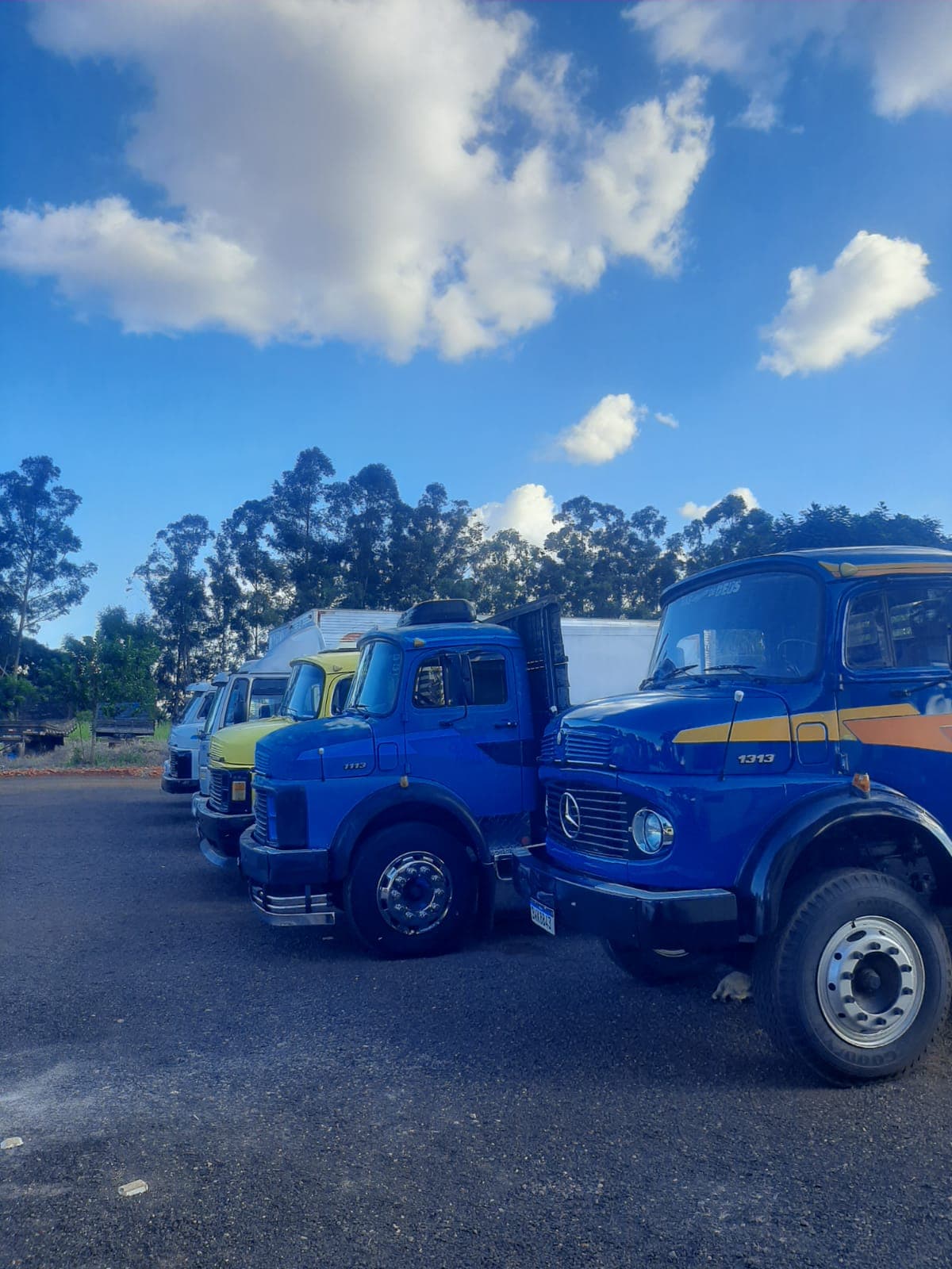 Pátio completo BR Caminhões